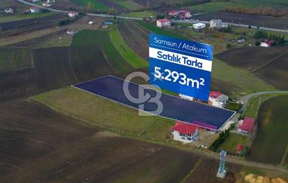 SAMSUN ATAKUM ALANLI'DA SATILIK TARLA