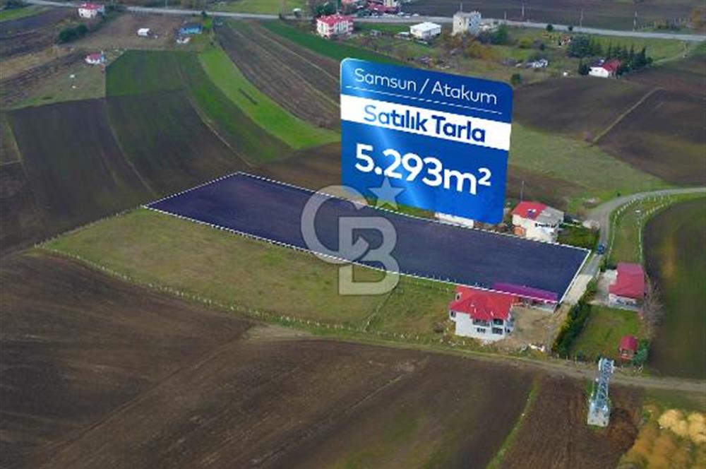 SAMSUN ATAKUM ALANLI'DA SATILIK TARLA