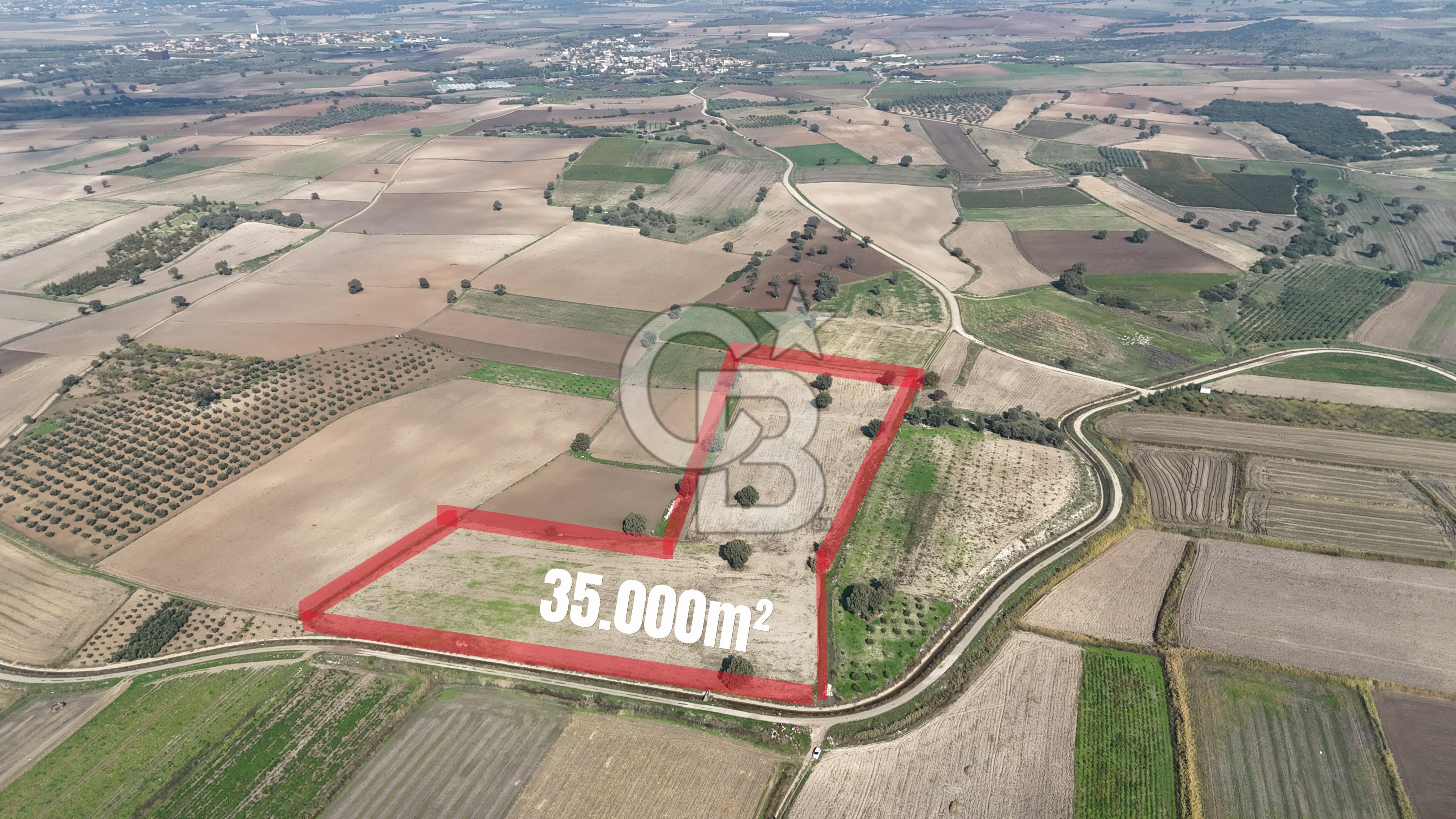 ÇANAKKALE MERKEZ ÇIPLAK KÖYÜNDE TEK PARSEL 35 DÖNÜM TARLA