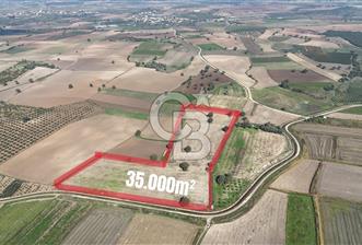 ÇANAKKALE MERKEZ ÇIPLAK KÖYÜNDE TEK PARSEL 35 DÖNÜM TARLA - 9 - 323618