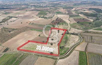 ÇANAKKALE MERKEZ ÇIPLAK KÖYÜNDE TEK PARSEL 35 DÖNÜM TARLA