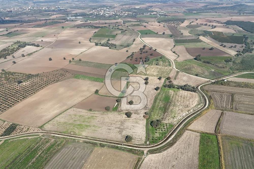 ÇANAKKALE MERKEZ ÇIPLAK KÖYÜNDE TEK PARSEL 35 DÖNÜM TARLA