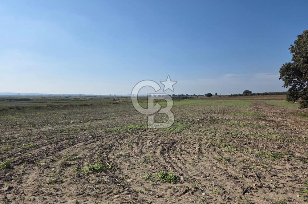 ÇANAKKALE MERKEZ ÇIPLAK KÖYÜNDE TEK PARSEL 35 DÖNÜM TARLA