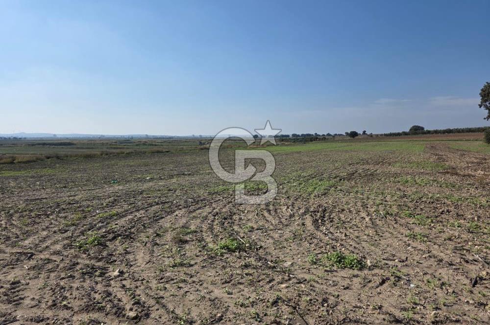 ÇANAKKALE MERKEZ ÇIPLAK KÖYÜNDE TEK PARSEL 35 DÖNÜM TARLA