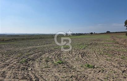 ÇANAKKALE MERKEZ ÇIPLAK KÖYÜNDE TEK PARSEL 35 DÖNÜM TARLA