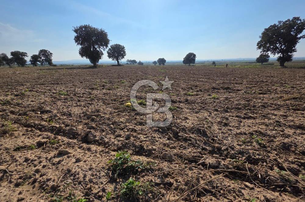 ÇANAKKALE MERKEZ ÇIPLAK KÖYÜNDE TEK PARSEL 35 DÖNÜM TARLA