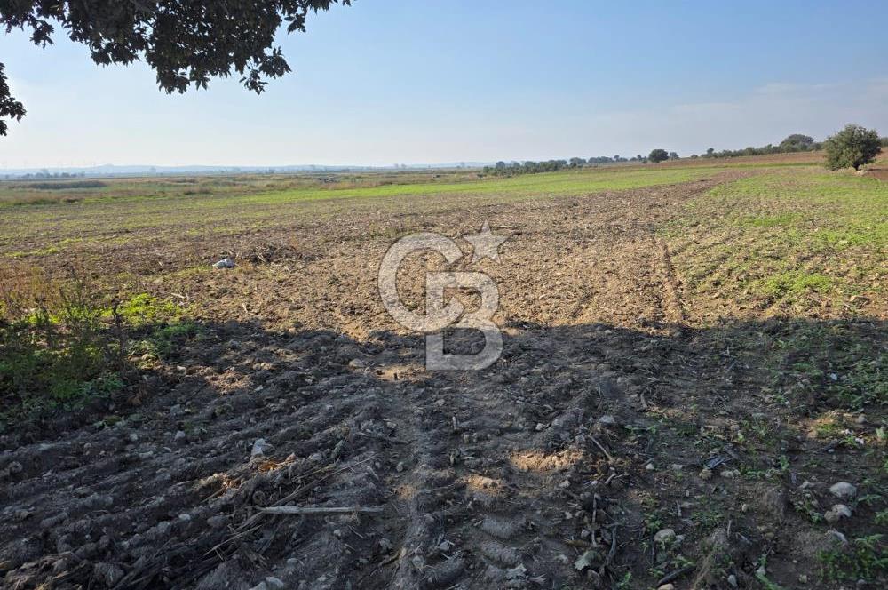 ÇANAKKALE MERKEZ ÇIPLAK KÖYÜNDE TEK PARSEL 35 DÖNÜM TARLA