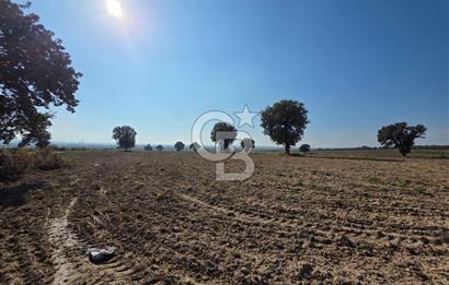 ÇANAKKALE MERKEZ ÇIPLAK KÖYÜNDE TEK PARSEL 35 DÖNÜM TARLA