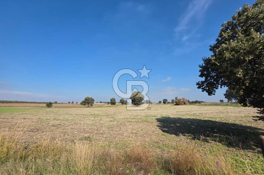 ÇANAKKALE MERKEZ ÇIPLAK KÖYÜNDE TEK PARSEL 35 DÖNÜM TARLA