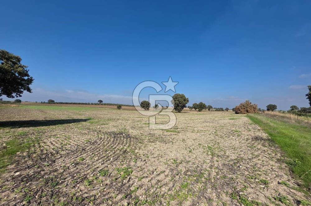 ÇANAKKALE MERKEZ ÇIPLAK KÖYÜNDE TEK PARSEL 35 DÖNÜM TARLA