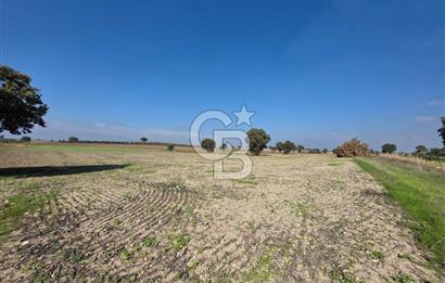 ÇANAKKALE MERKEZ ÇIPLAK KÖYÜNDE TEK PARSEL 35 DÖNÜM TARLA