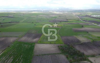 CB KİNG'DEN ORHANLI MAHALLESİ SATILIK TARLA