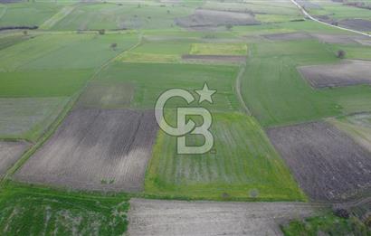 CB KİNG'DEN ORHANLI MAHALLESİ SATILIK TARLA