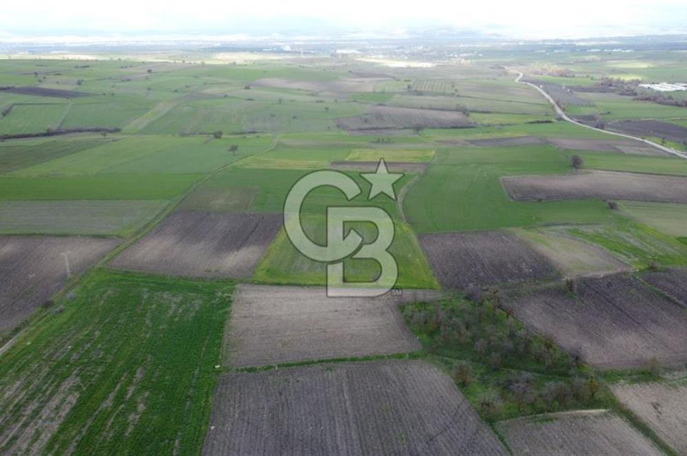 CB KİNG'DEN ORHANLI MAHALLESİ SATILIK TARLA