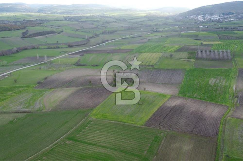 CB KİNG'DEN ORHANLI MAHALLESİ SATILIK TARLA