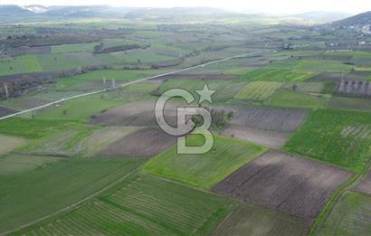 CB KİNG'DEN ORHANLI MAHALLESİ SATILIK TARLA