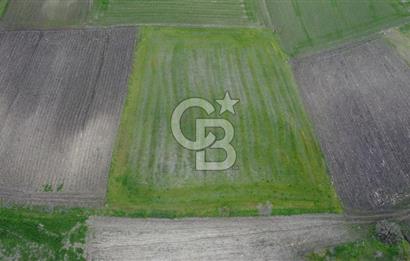 CB KİNG'DEN ORHANLI MAHALLESİ SATILIK TARLA