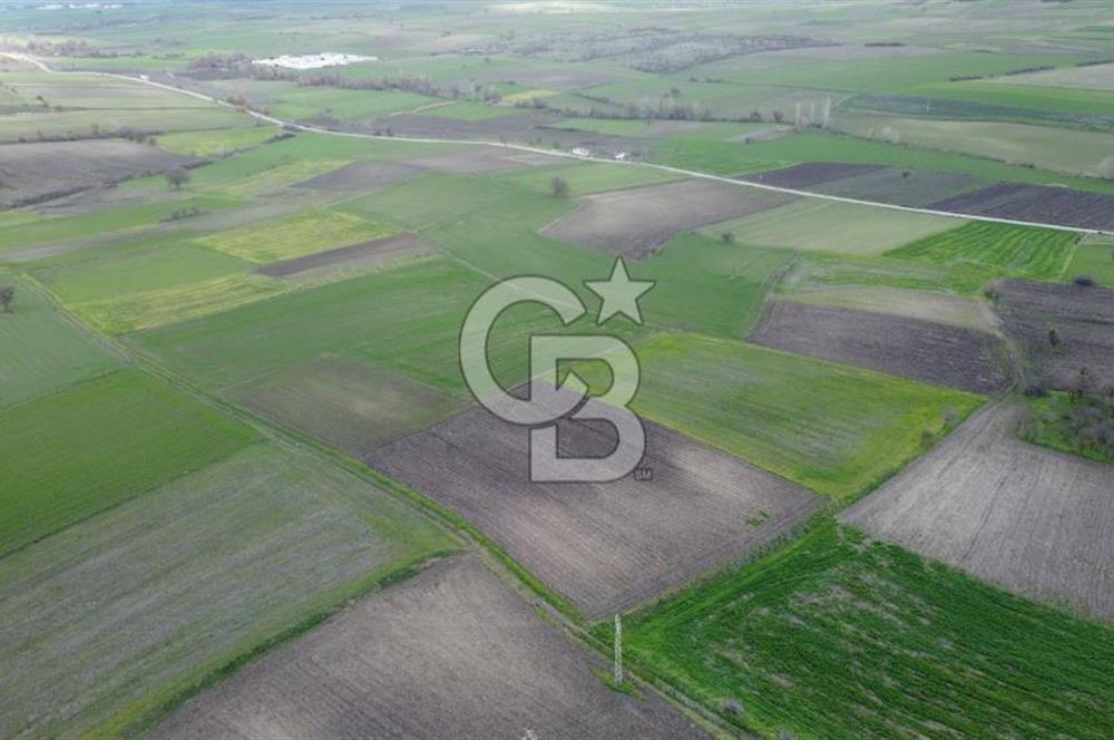 CB KİNG'DEN ORHANLI MAHALLESİ SATILIK TARLA