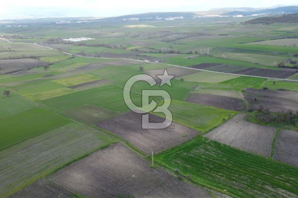 CB KİNG'DEN ORHANLI MAHALLESİ SATILIK TARLA