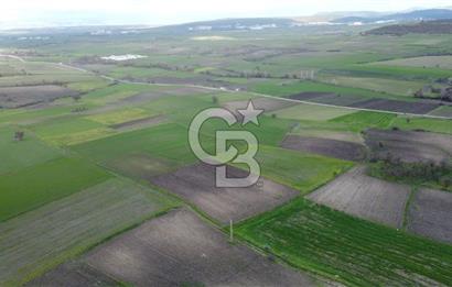 CB KİNG'DEN ORHANLI MAHALLESİ SATILIK TARLA