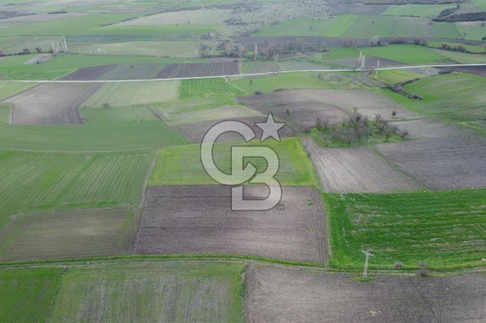 CB KİNG'DEN ORHANLI MAHALLESİ SATILIK TARLA