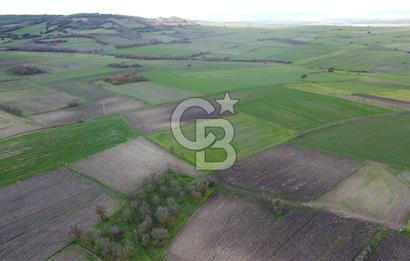 CB KİNG'DEN ORHANLI MAHALLESİ SATILIK TARLA