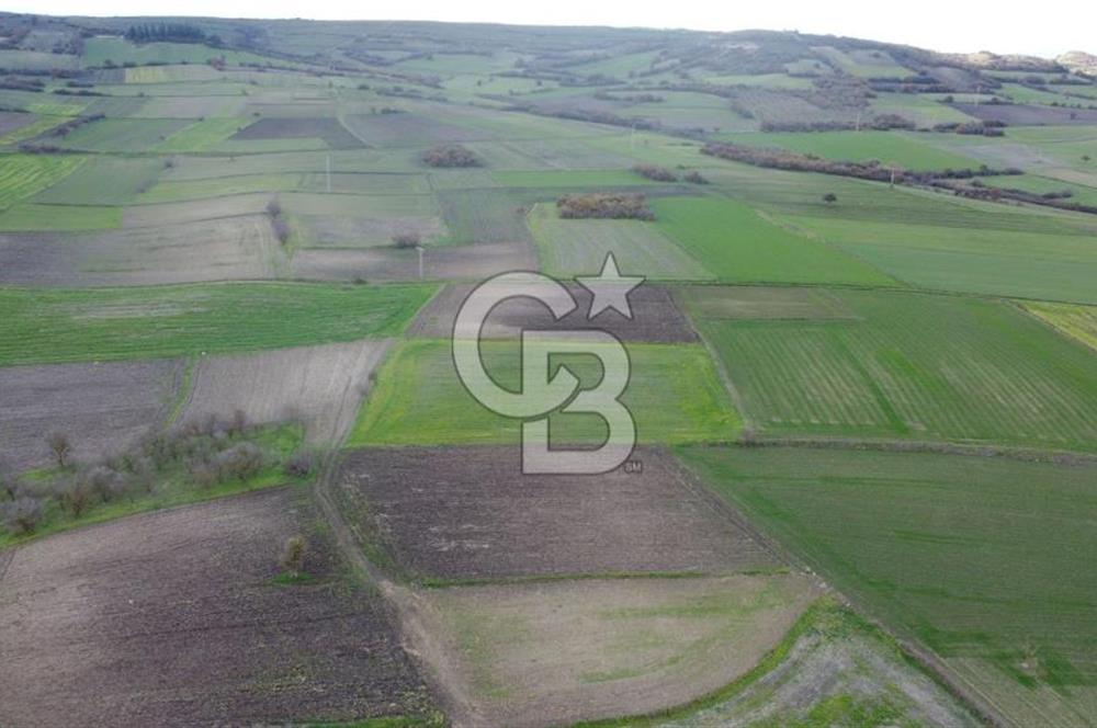 CB KİNG'DEN ORHANLI MAHALLESİ SATILIK TARLA