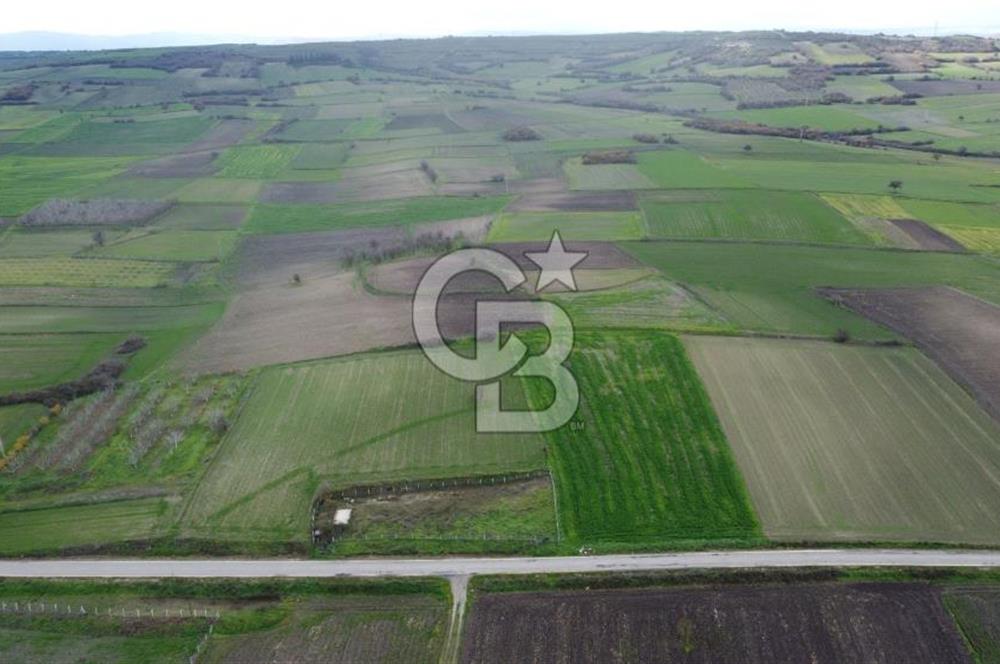 CB KİNG'DEN ORHANLI MAHALLESİ SATILIK TARLA