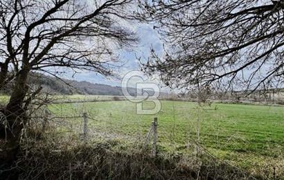 Tekirdağ, Şarköy, Gölcük mahallesi yola cepheli 3.478 m2 Tarla