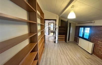 Tuzla Mercan Sahil'de Masalsı 4+2 villa