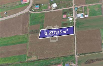 CB ENVOY Körfez-Cuma Köyü'nde 3277 m2 Satılık Arsa