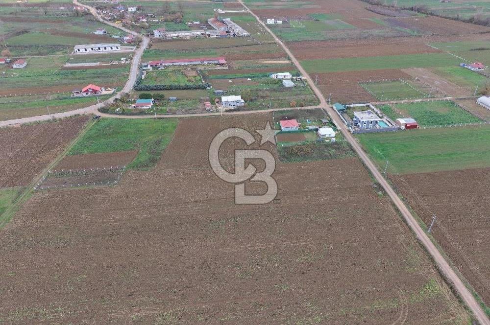 CB ENVOY Körfez-Cuma Köyü'nde 3277 m2 Satılık Arsa