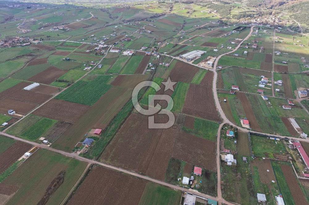 CB ENVOY Körfez-Cuma Köyü'nde 3277 m2 Satılık Arsa