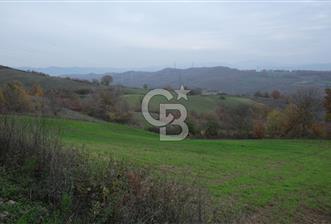 YALOVA ALTINOVA ÇAVUŞKÖY 3.278 M2 SATILIK TARLA - 1 - 323679