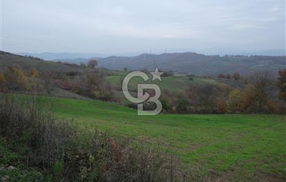 YALOVA ALTINOVA ÇAVUŞKÖY 3.278 M2 SATILIK TARLA