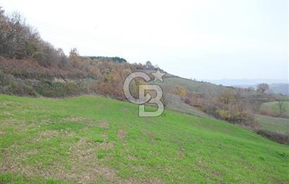 YALOVA ALTINOVA ÇAVUŞKÖY 3.278 M2 SATILIK TARLA