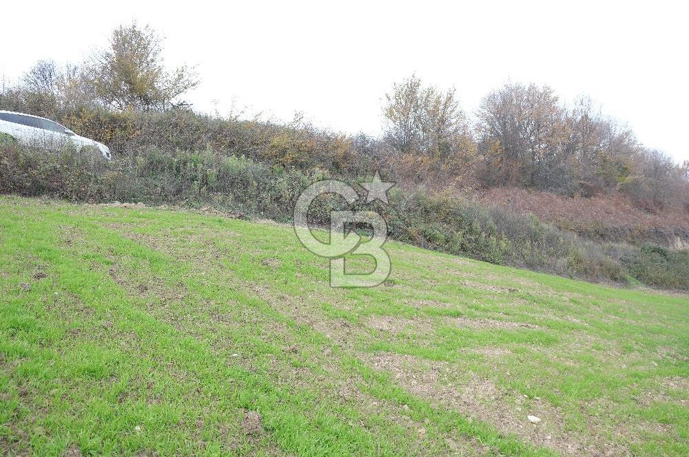 YALOVA ALTINOVA ÇAVUŞKÖY 3.278 M2 SATILIK TARLA