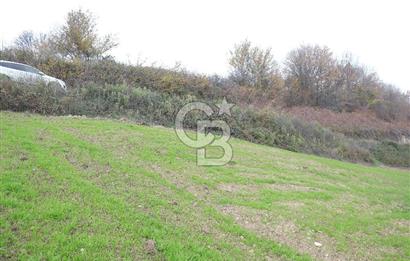 YALOVA ALTINOVA ÇAVUŞKÖY 3.278 M2 SATILIK TARLA