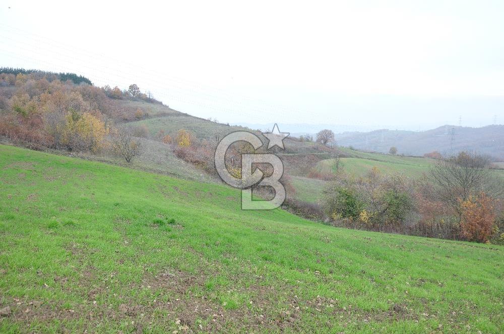 YALOVA ALTINOVA ÇAVUŞKÖY 3.278 M2 SATILIK TARLA