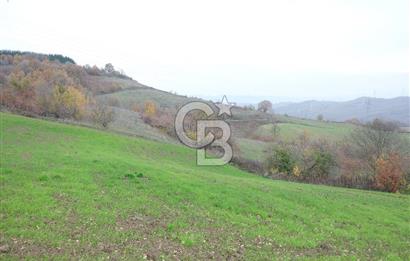 YALOVA ALTINOVA ÇAVUŞKÖY 3.278 M2 SATILIK TARLA