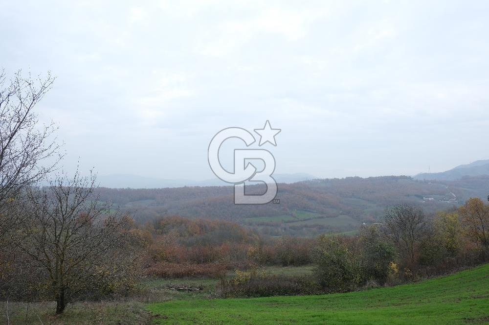 YALOVA ALTINOVA ÇAVUŞKÖY 3.278 M2 SATILIK TARLA