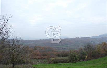 YALOVA ALTINOVA ÇAVUŞKÖY 3.278 M2 SATILIK TARLA