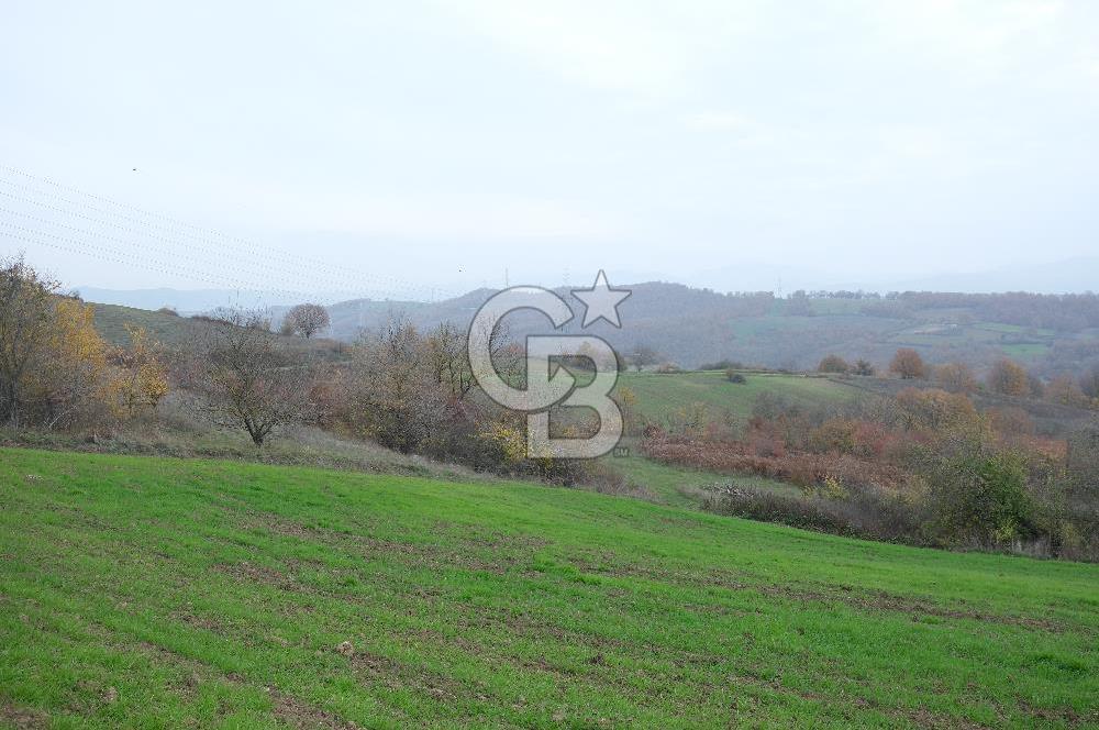 YALOVA ALTINOVA ÇAVUŞKÖY 3.278 M2 SATILIK TARLA