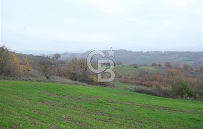 YALOVA ALTINOVA ÇAVUŞKÖY 3.278 M2 SATILIK TARLA