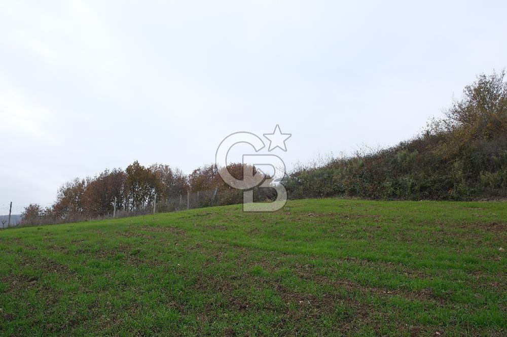 YALOVA ALTINOVA ÇAVUŞKÖY 3.278 M2 SATILIK TARLA