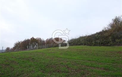 YALOVA ALTINOVA ÇAVUŞKÖY 3.278 M2 SATILIK TARLA