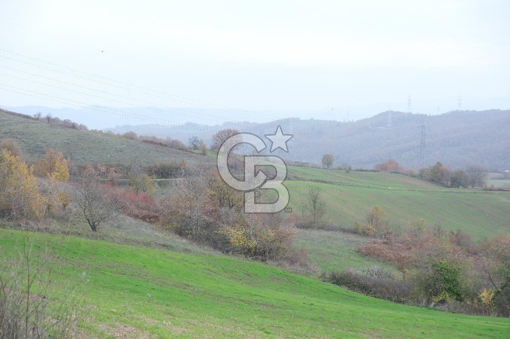 YALOVA ALTINOVA ÇAVUŞKÖY 3.278 M2 SATILIK TARLA