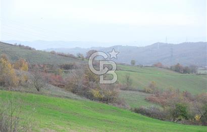 YALOVA ALTINOVA ÇAVUŞKÖY 3.278 M2 SATILIK TARLA