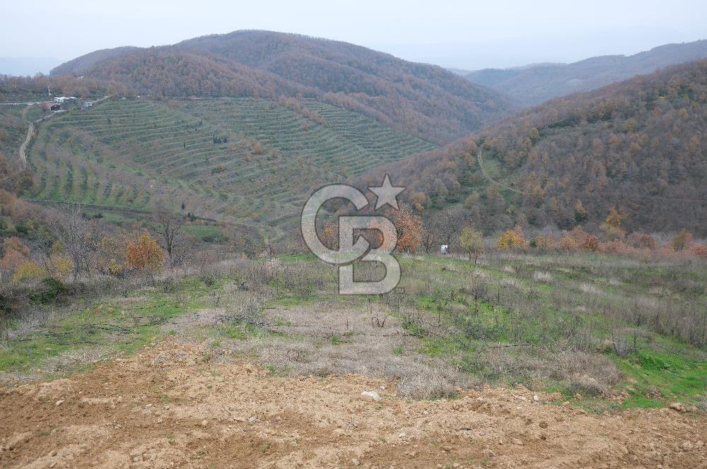 YALOVA SERMAYECİK 4404 M2 ARAZİ İÇİNDE MANZARALI BAĞ EVİ