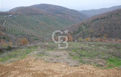 YALOVA SERMAYECİK 4404 M2 ARAZİ İÇİNDE MANZARALI BAĞ EVİ